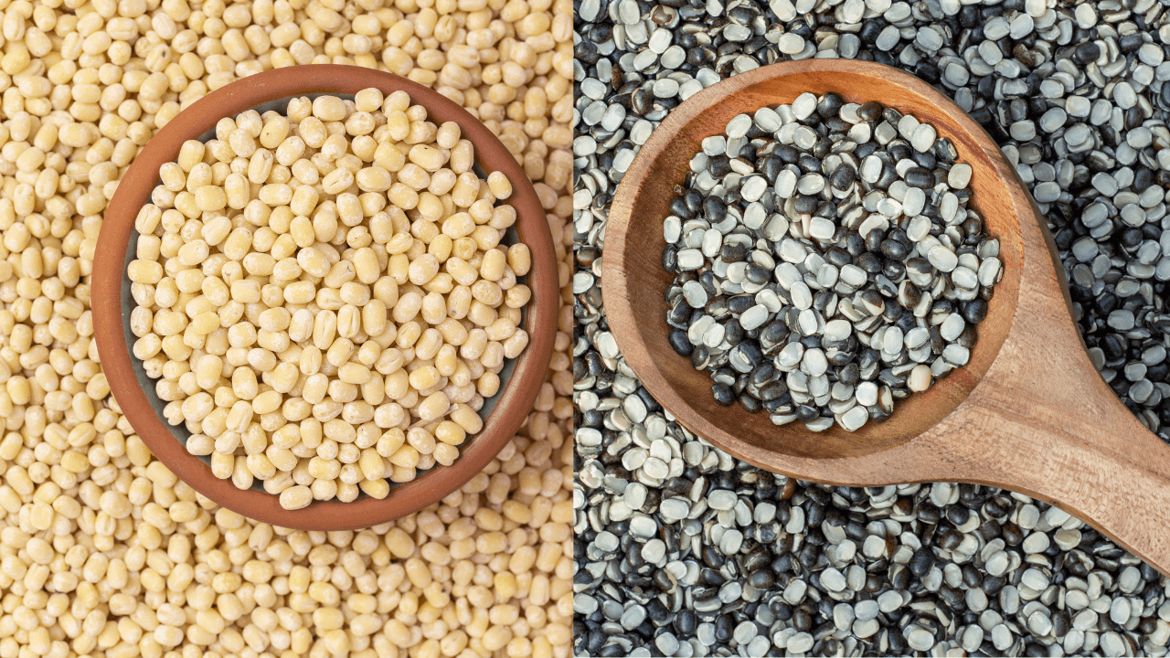 Urad Dal (Black Beans)