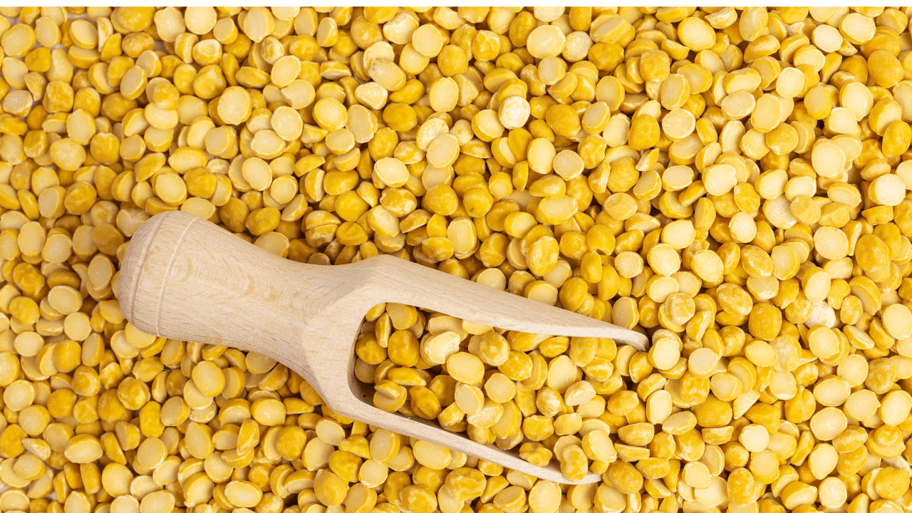 Chana Dal (Split Chickpeas)