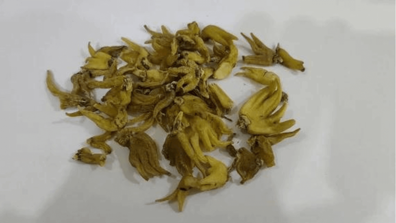 Salab Panja