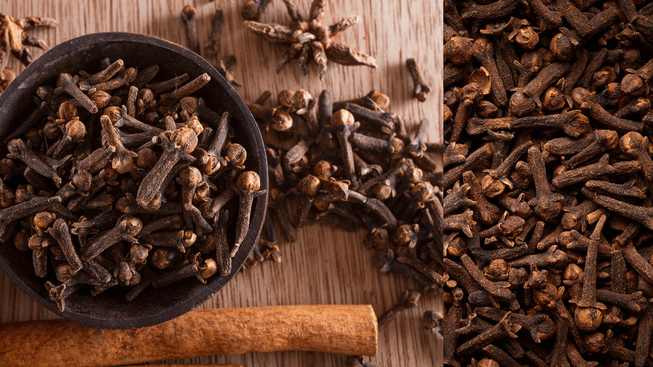 Clove