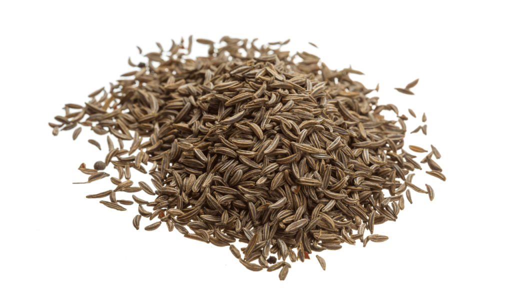 Caraway