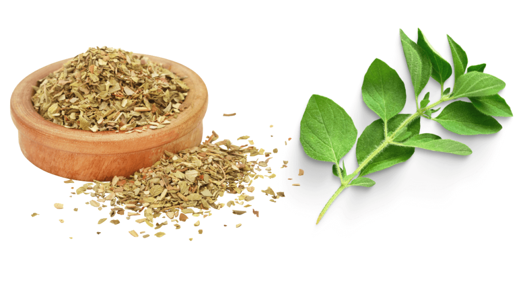 Oregano