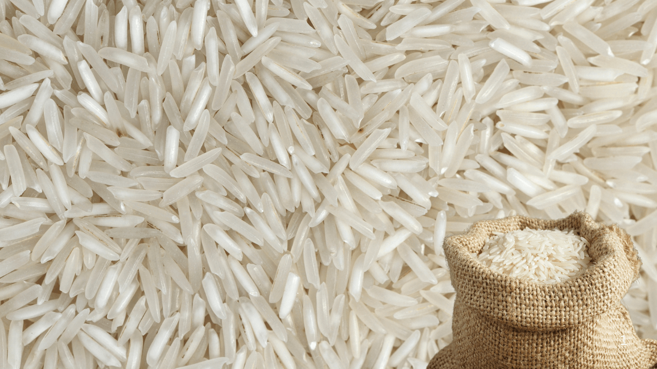 Basmati Rice